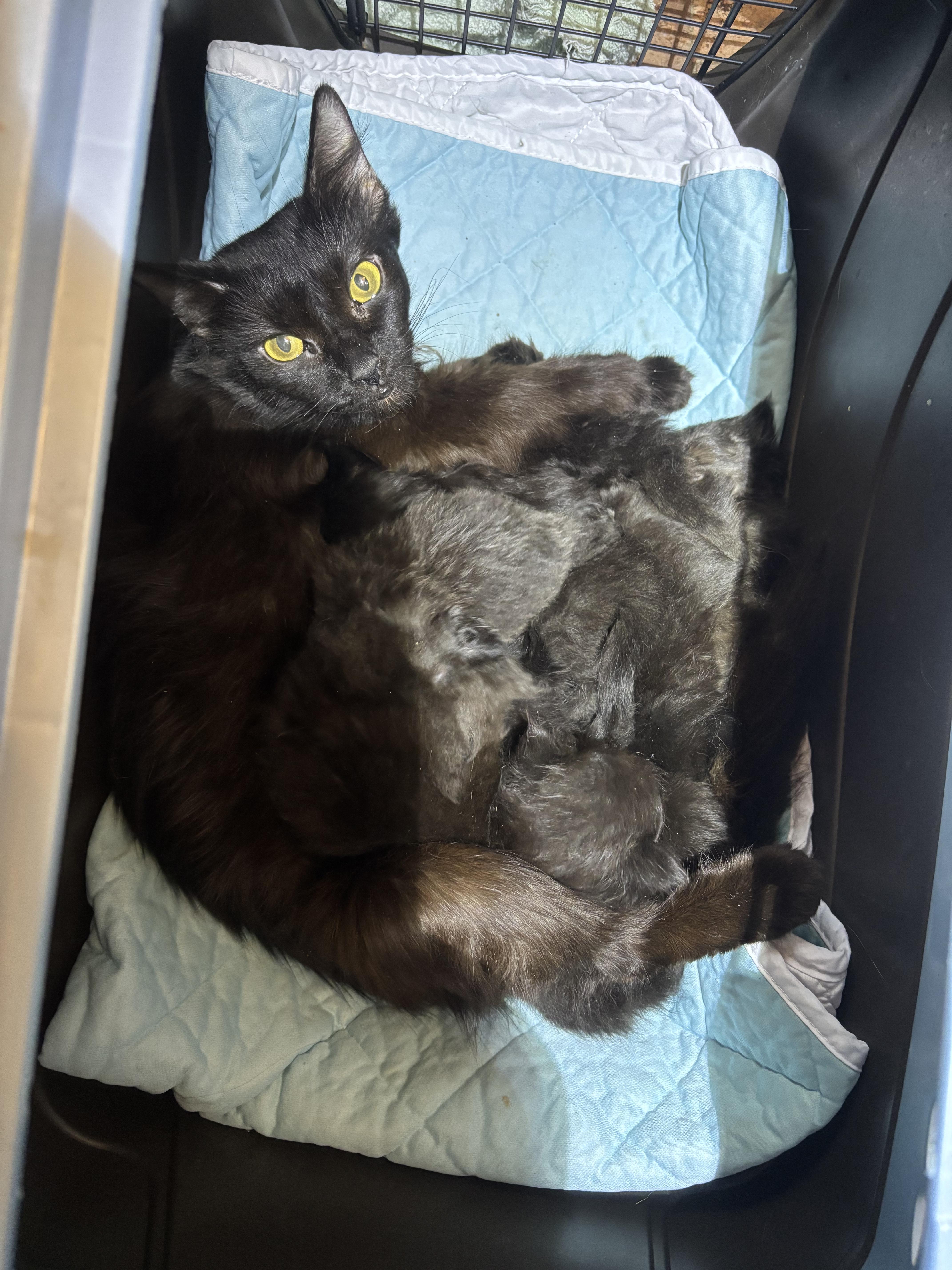 Michelle thumbnail 2