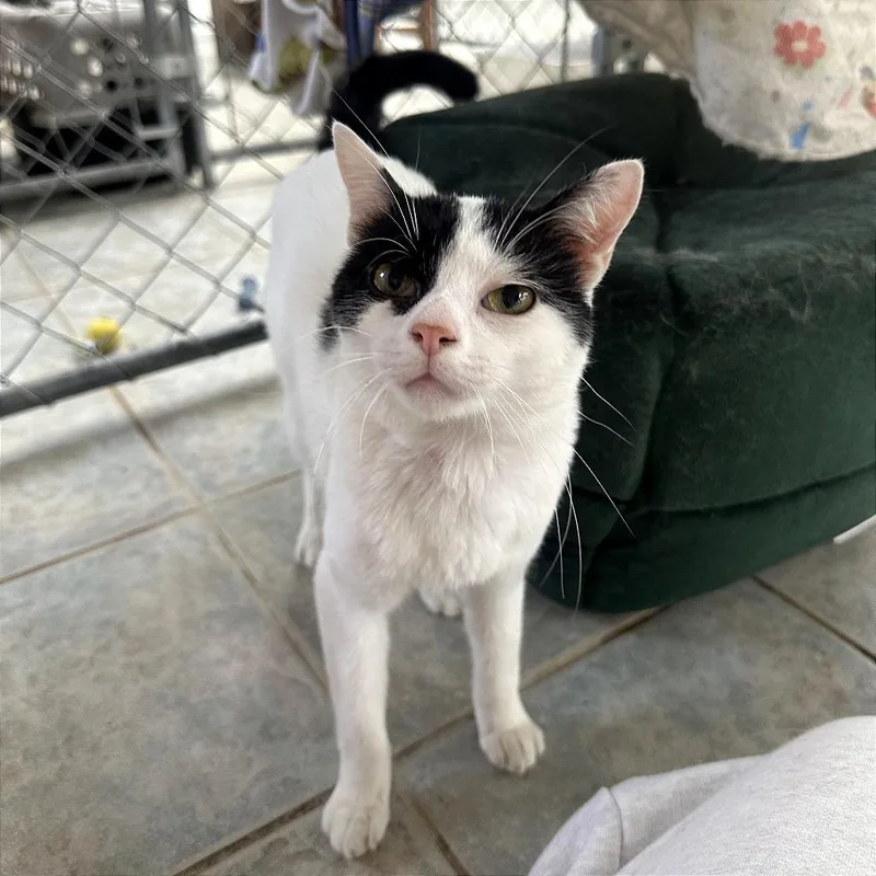 Crankshaft thumbnail 2