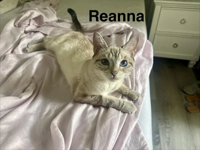 Reanna