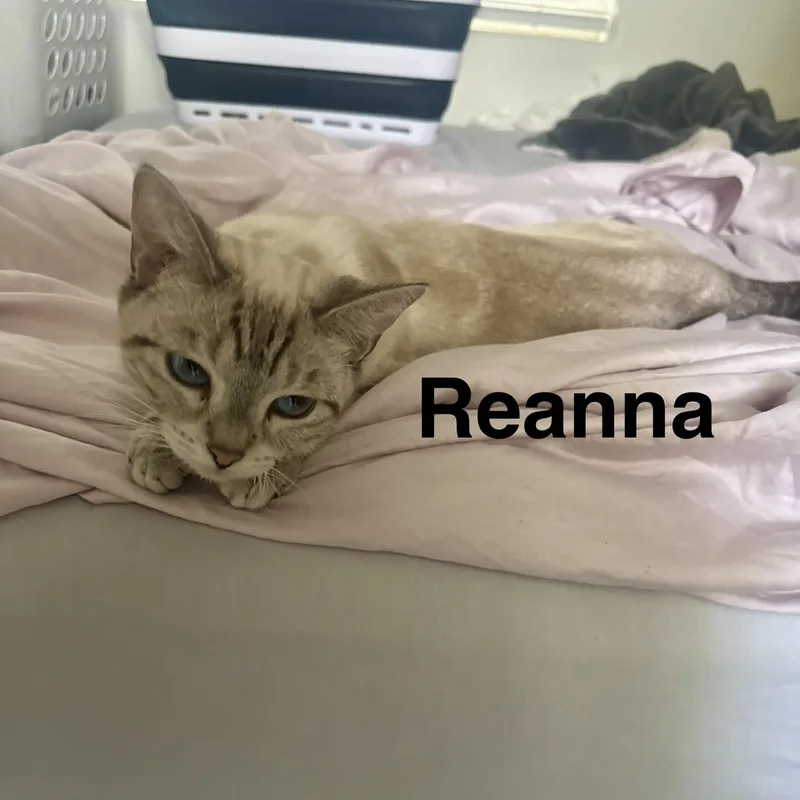 Reanna thumbnail 2