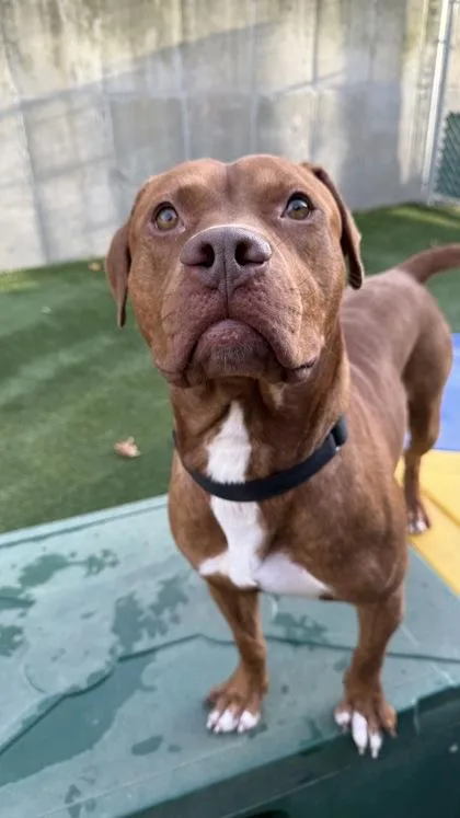 Bing Bong thumbnail 2