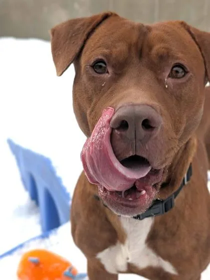 Bing Bong thumbnail 3