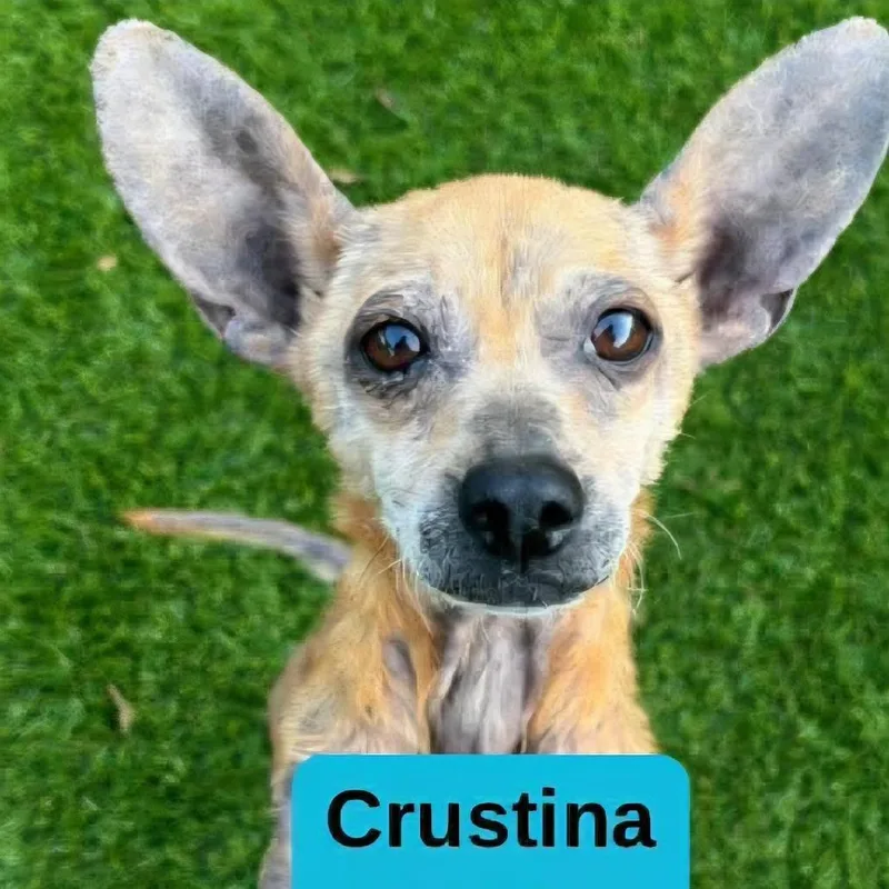 Crustina Aguilera D Arriving thumbnail 2