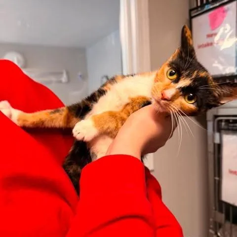 Fran thumbnail 5