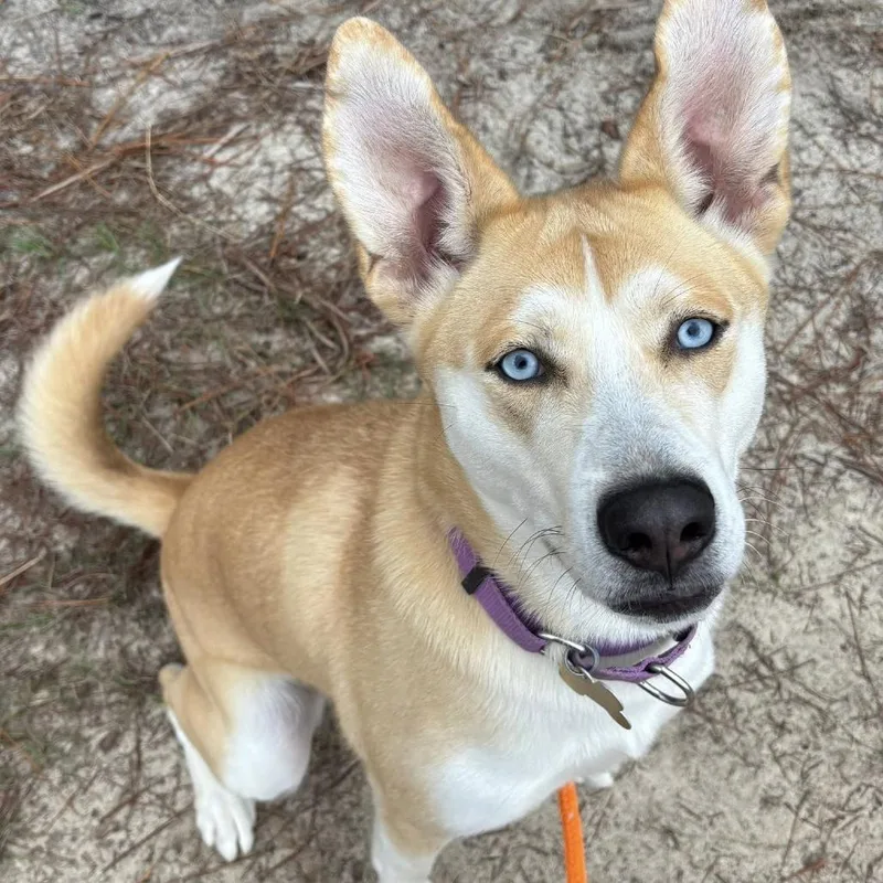 Ella