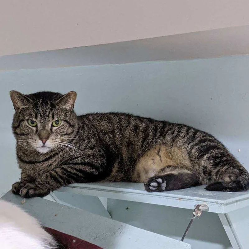 Benjamin thumbnail 2