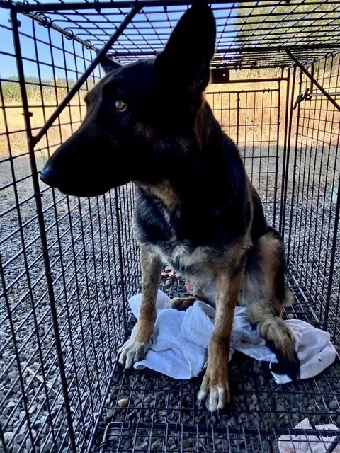 Barbie thumbnail 4