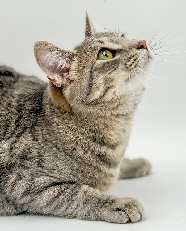 Luna Is A Love thumbnail 2