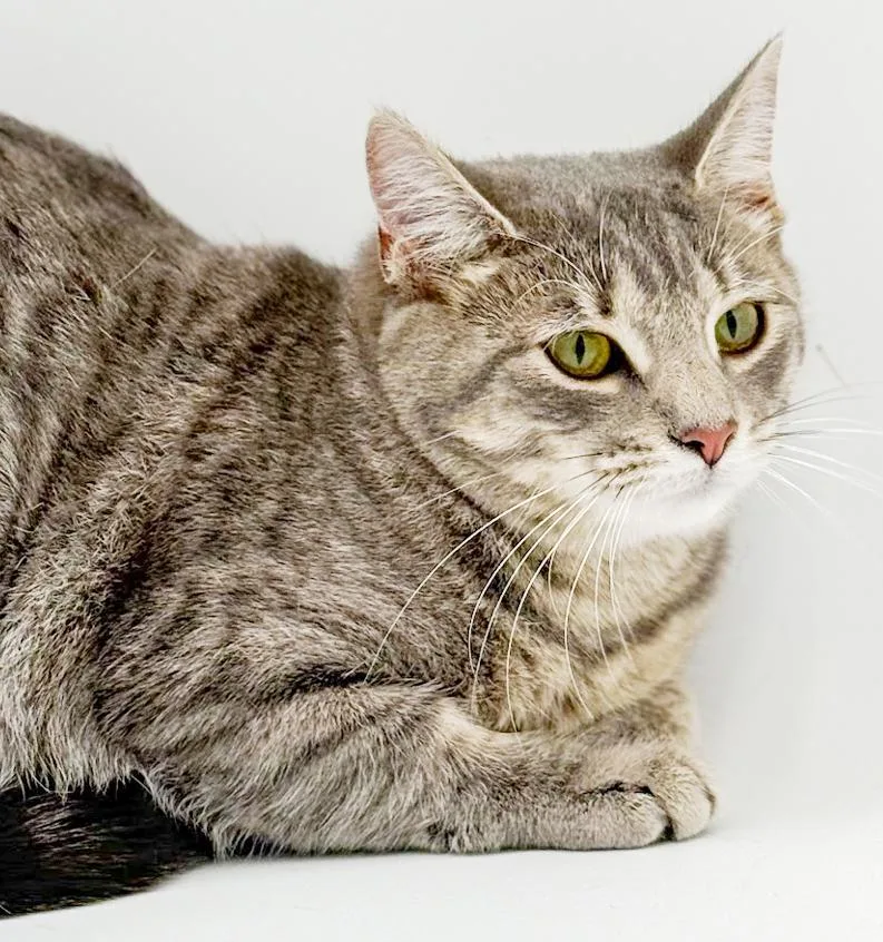 Luna Is A Love thumbnail 3