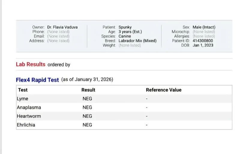 George Fka Spunky thumbnail 2