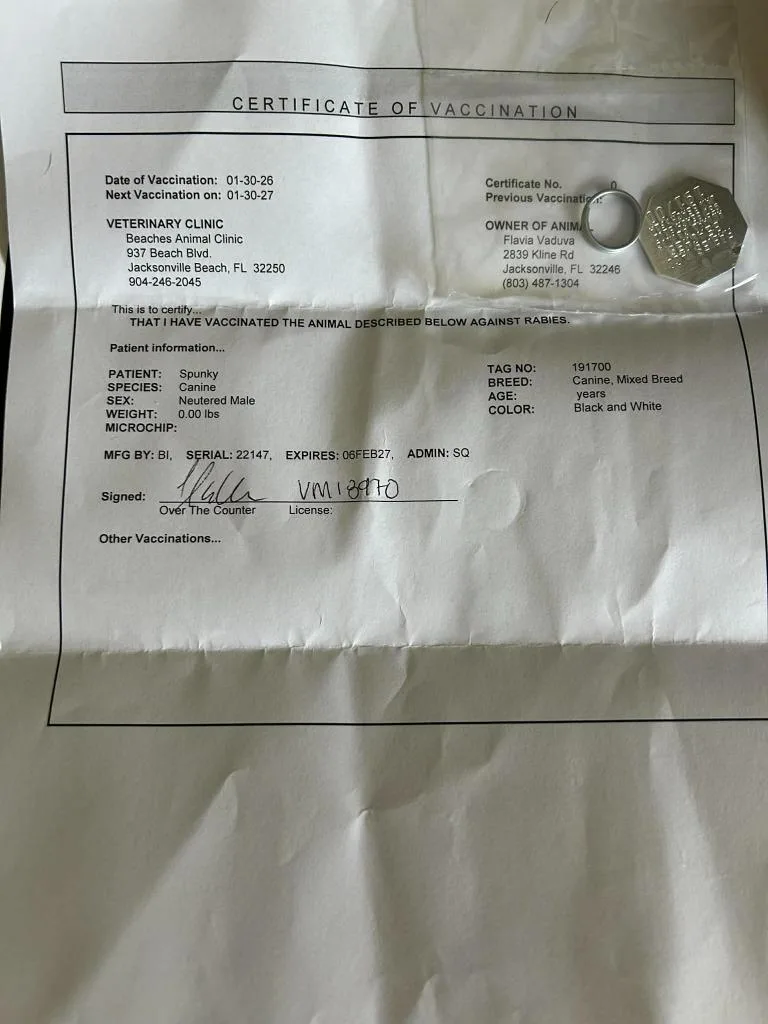 George Fka Spunky thumbnail 3