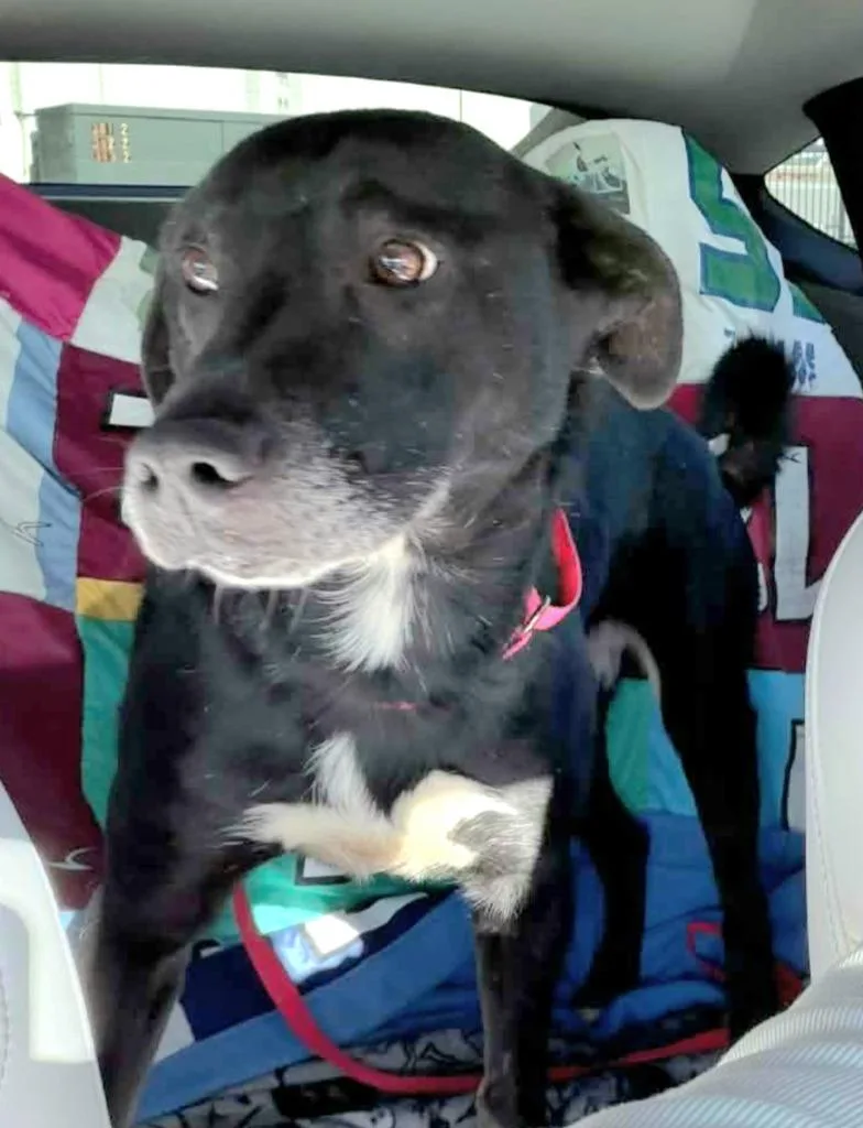 George Fka Spunky thumbnail 4