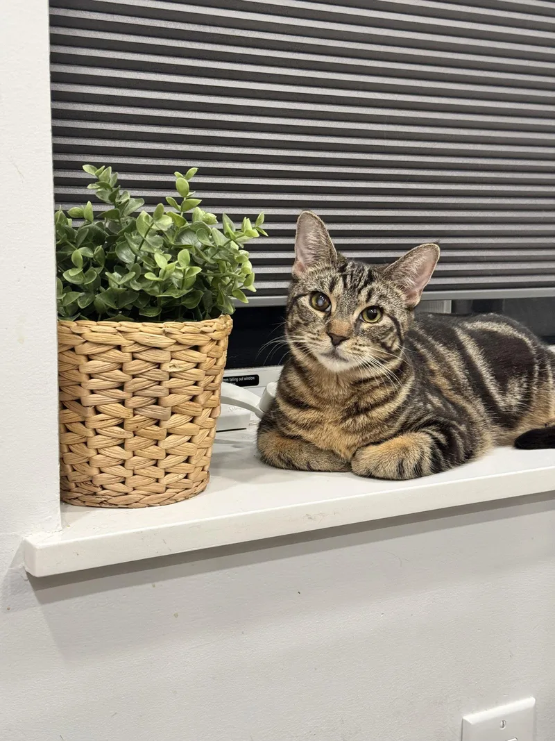 Tiana And Belle thumbnail 3