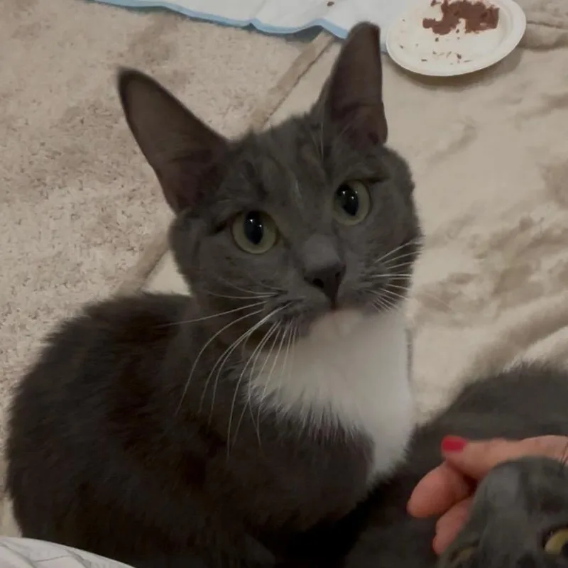 Jerry thumbnail 2