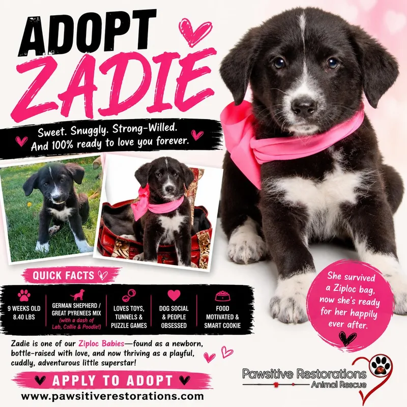 Zadie thumbnail 2