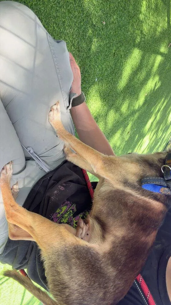 Duke