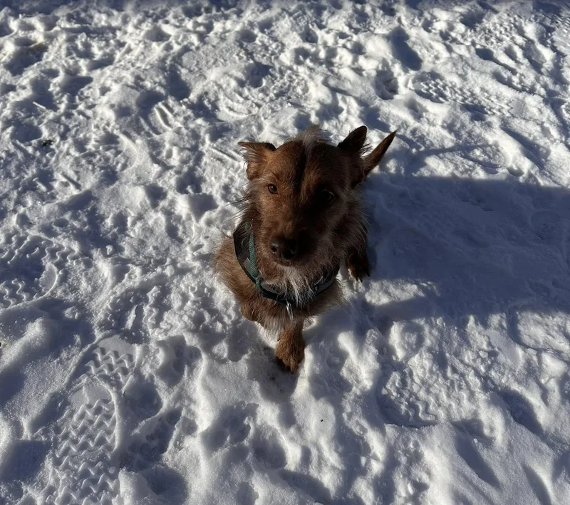 Willoughby thumbnail 2