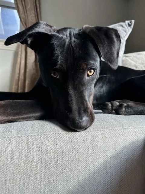 Bruno Mars Is Here!!