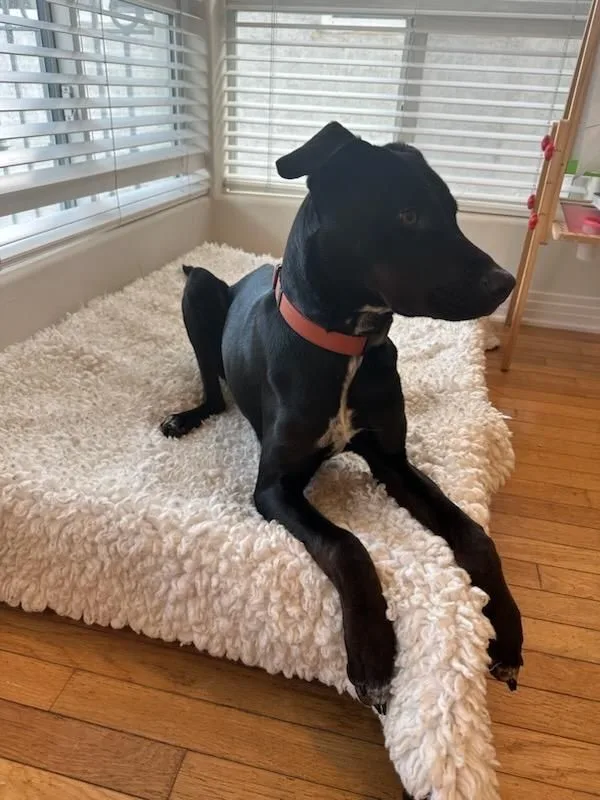 Bruno Mars Is Here!! thumbnail 2