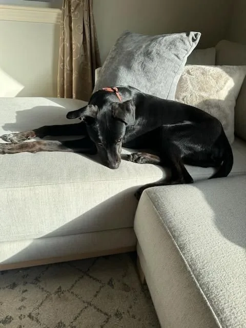 Bruno Mars Is Here!! thumbnail 3