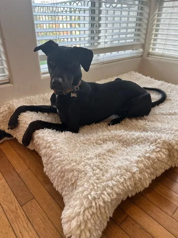 Bruno Mars Is Here!! thumbnail 4