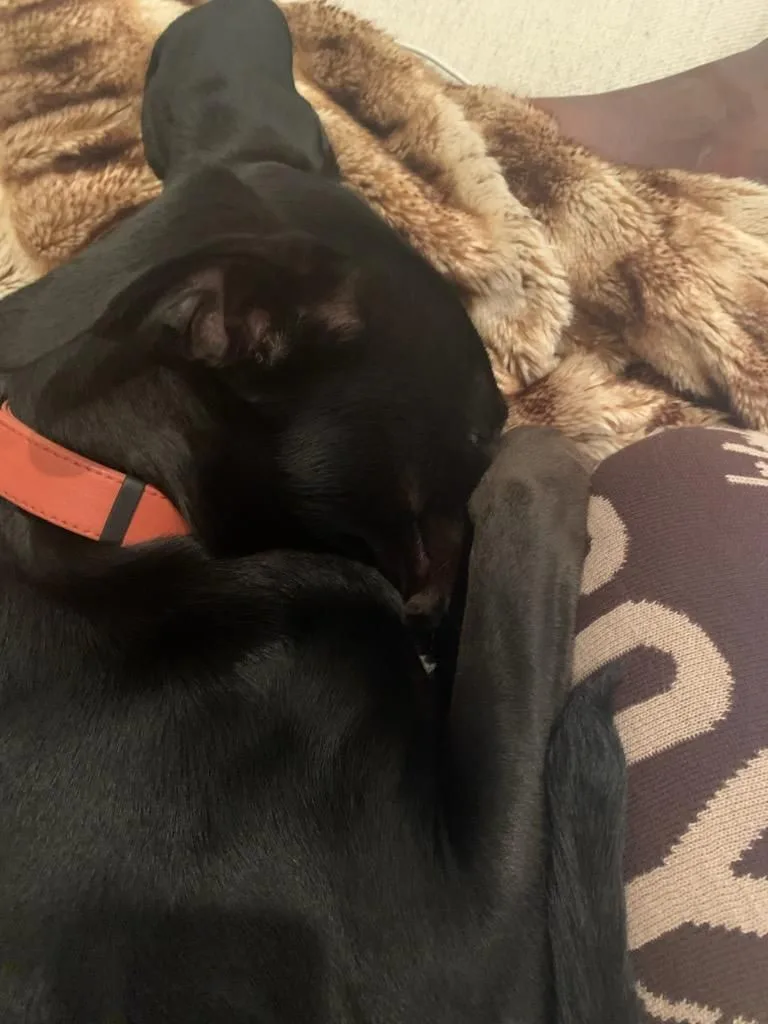 Bruno Mars Is Here!! thumbnail 5