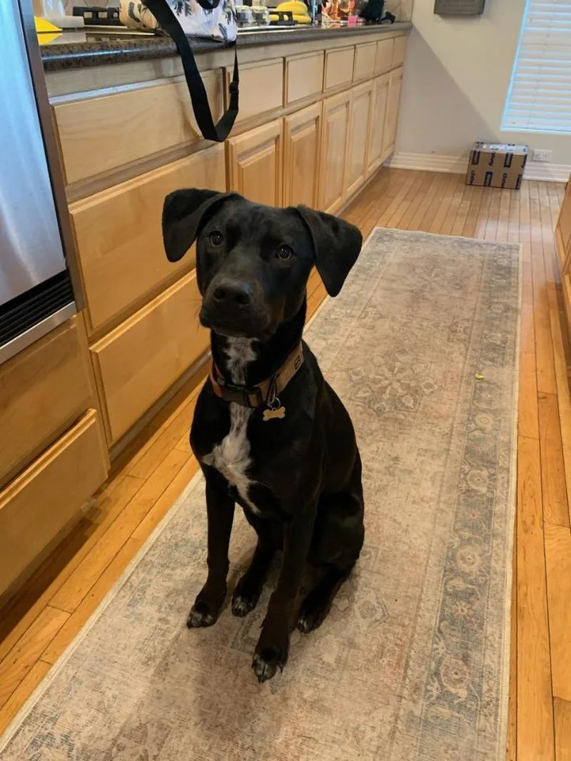 Bruno Mars Is Here!! thumbnail 6