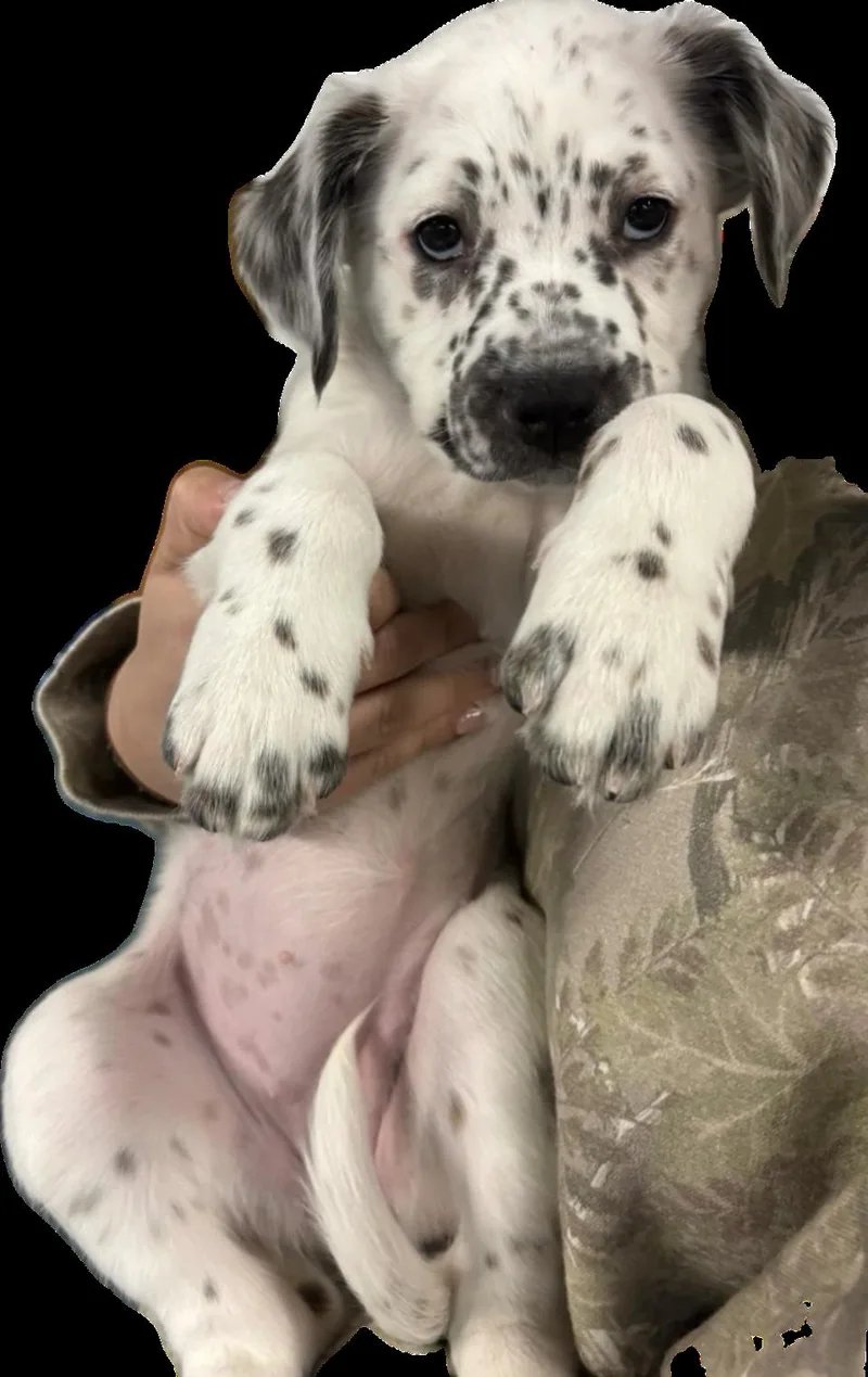 Eartha thumbnail 2