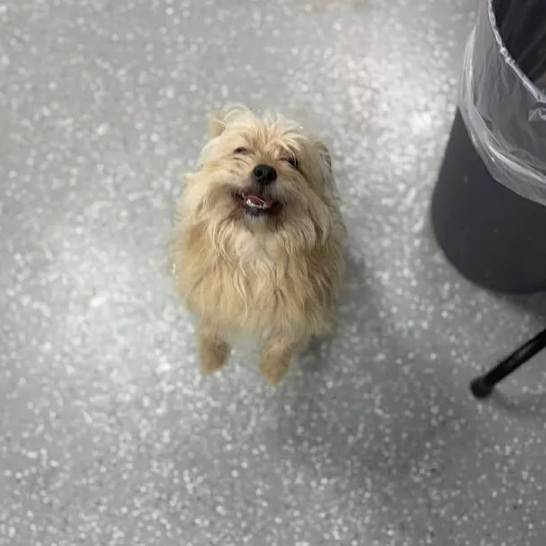 Coco thumbnail 2