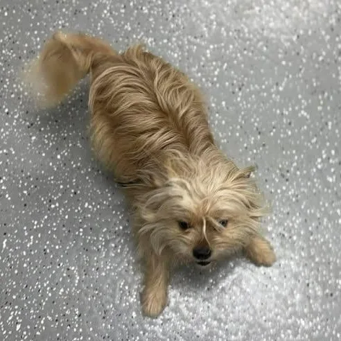 Coco thumbnail 3
