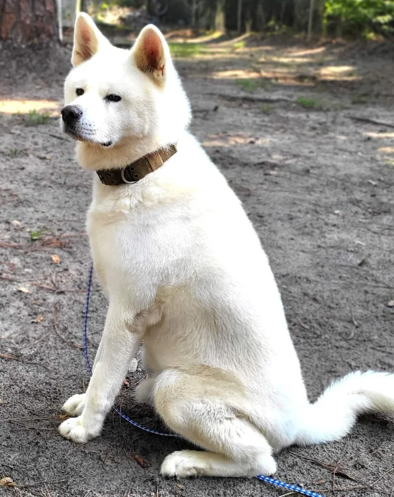 Sebastian thumbnail 4