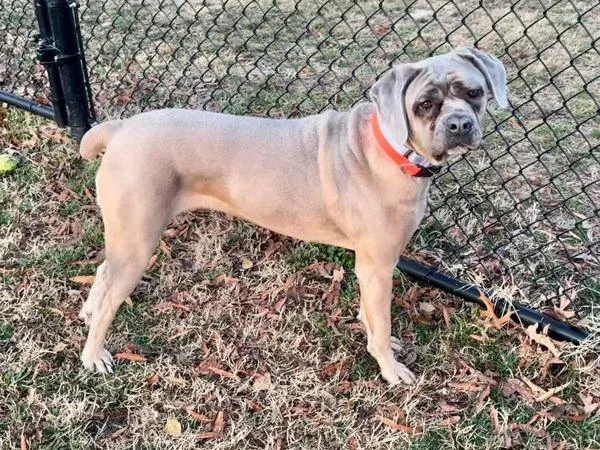 Swirly Girly thumbnail 2