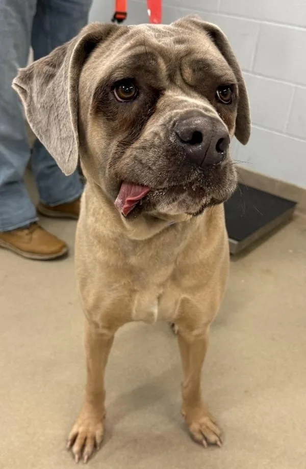 Swirly Girly thumbnail 3