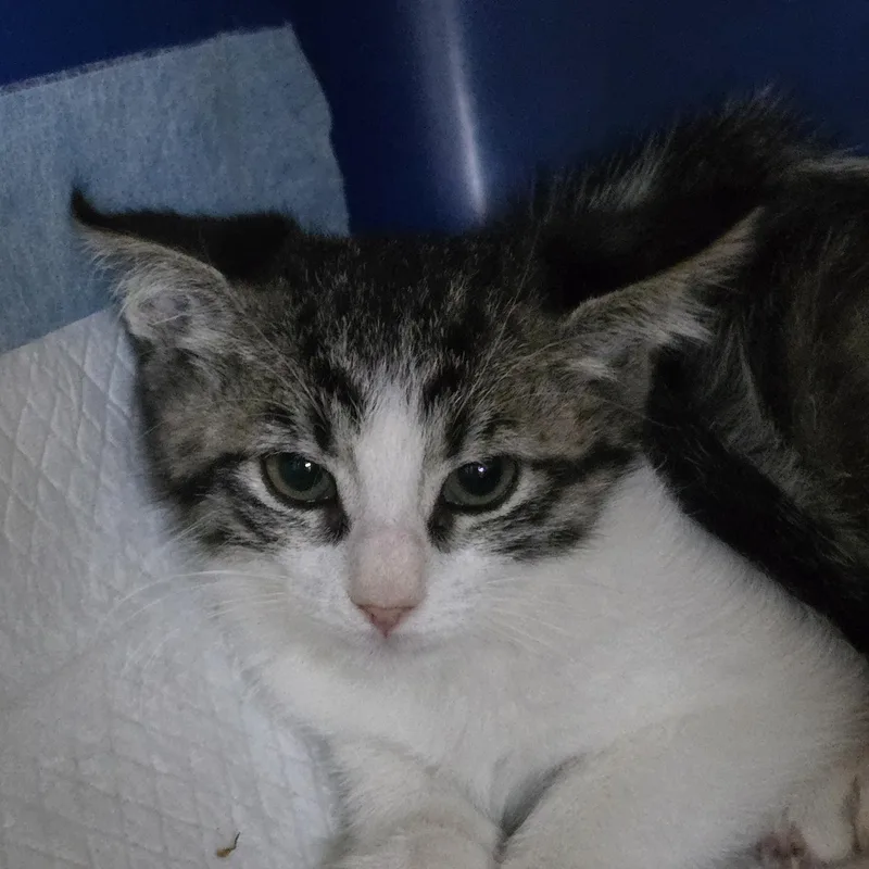 Katisha Ort thumbnail 2