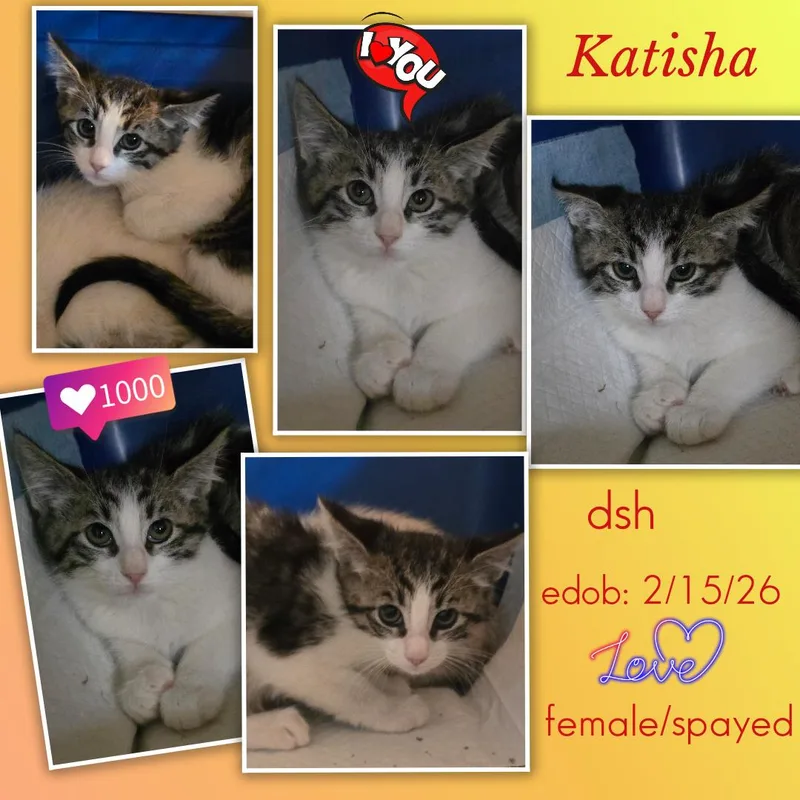 Katisha Ort thumbnail 4