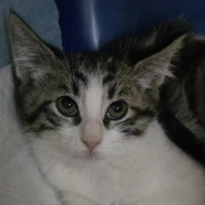 Katisha Ort thumbnail 6