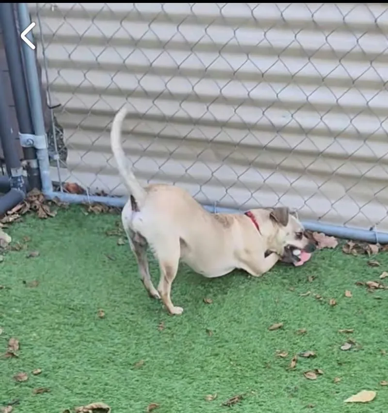 Floyd thumbnail 4