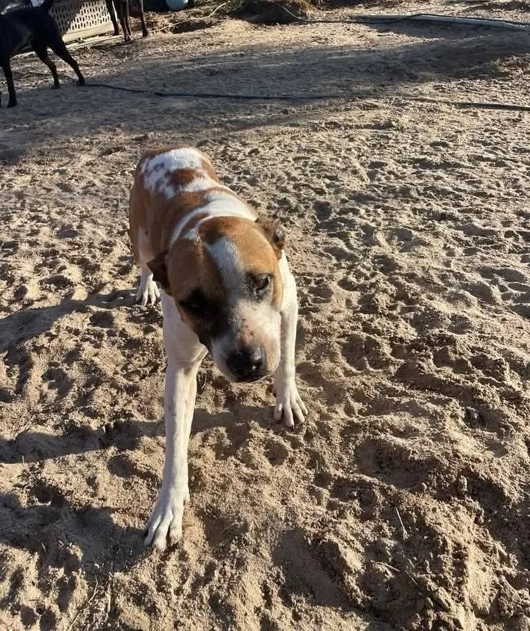 Sapphire thumbnail 2