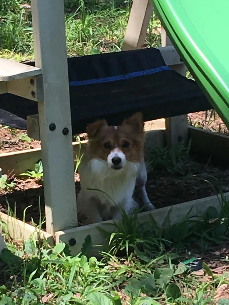 Rosco