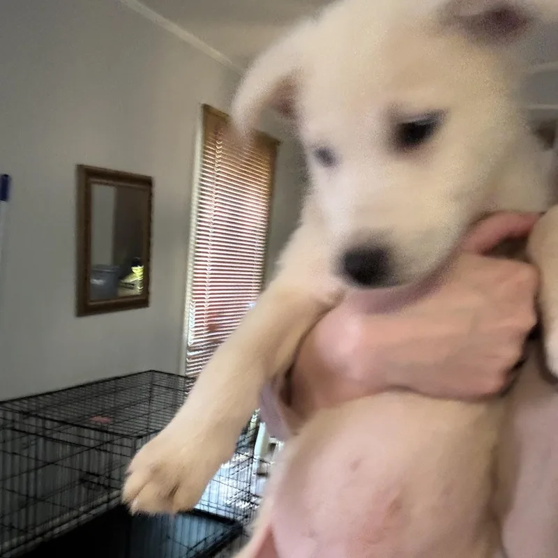 Stanly thumbnail 3