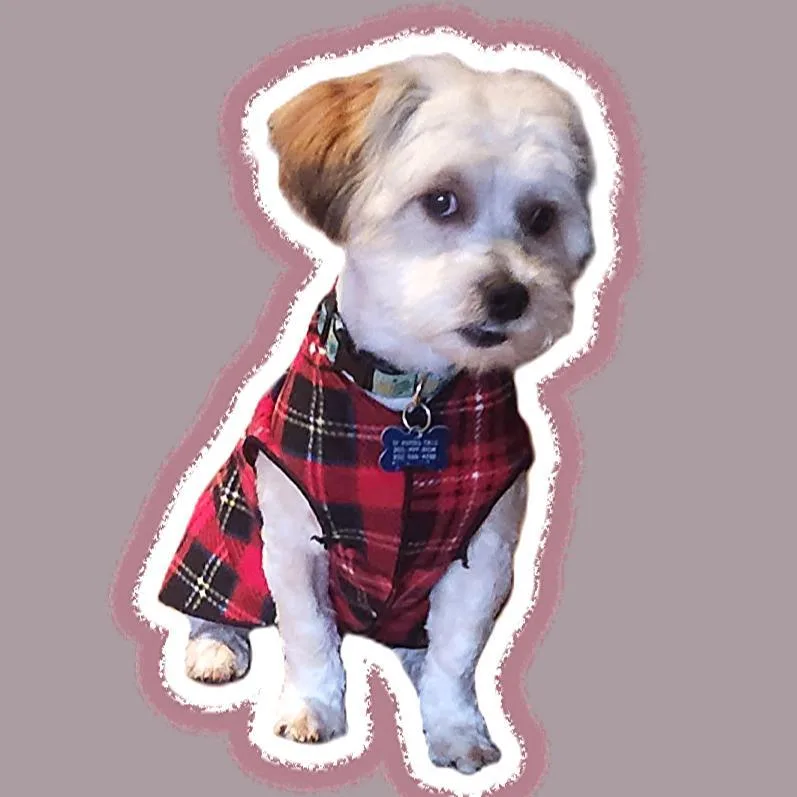Archie