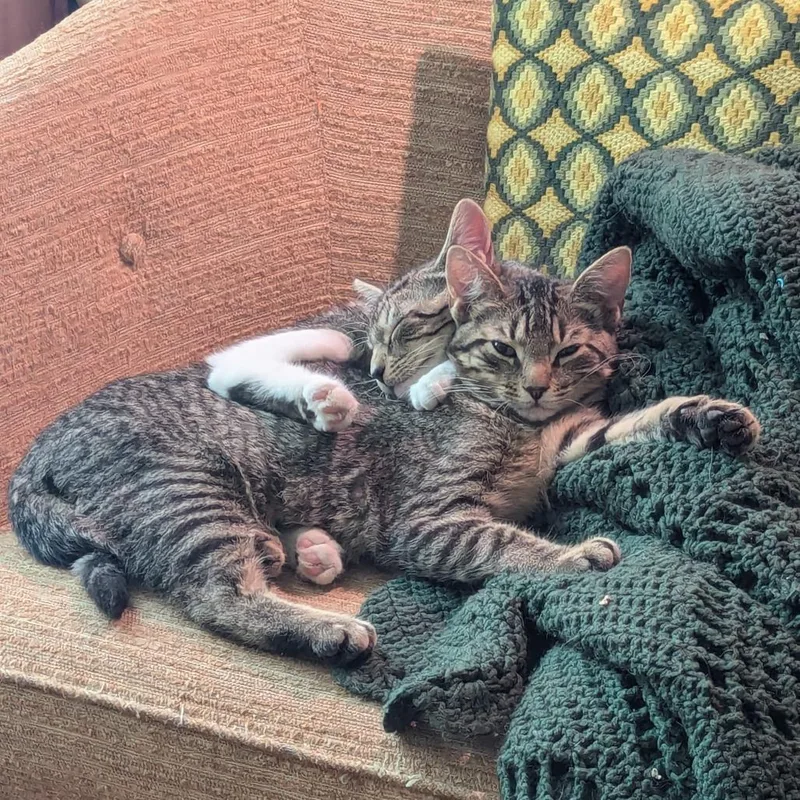 Sam Guest thumbnail 3