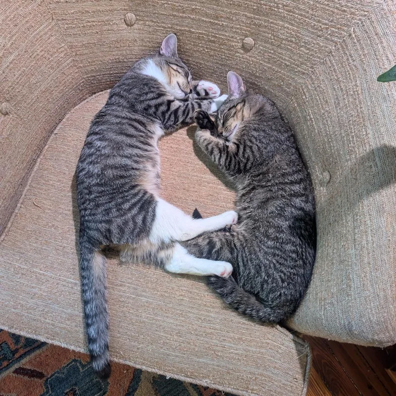 Sam Guest thumbnail 4