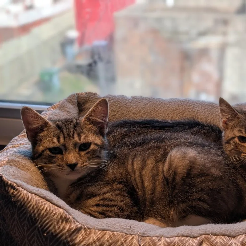 Sam Guest thumbnail 5