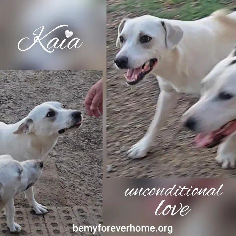 Kaia thumbnail 4