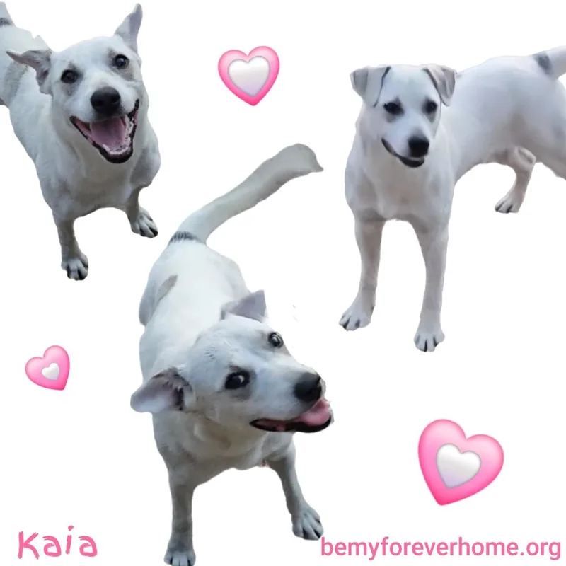 Kaia thumbnail 6