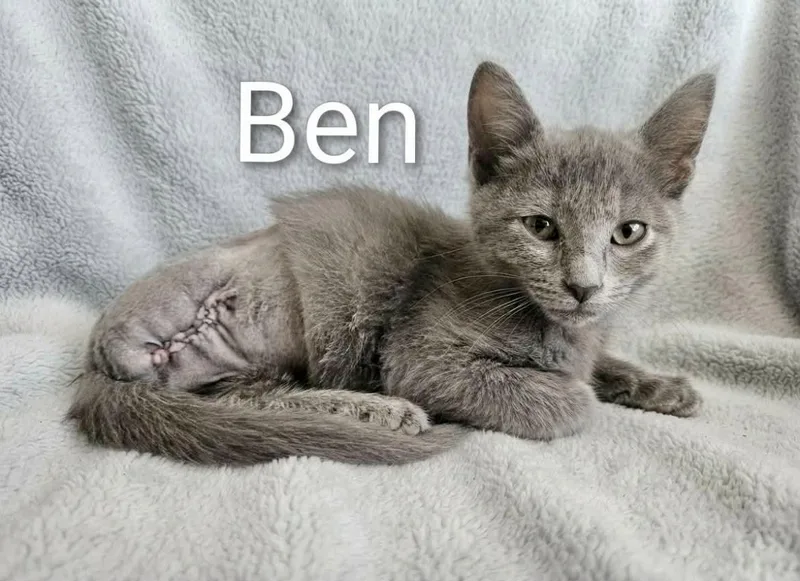 Ben   Legs thumbnail 2