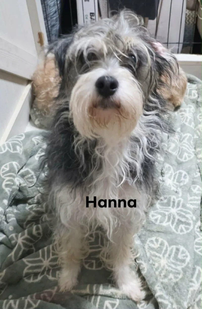 Hanna thumbnail 3