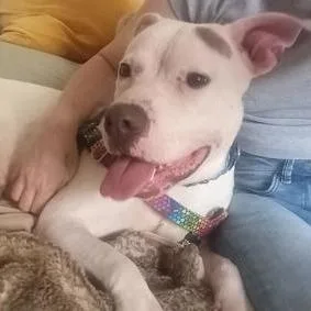 Mocha Latte thumbnail 2