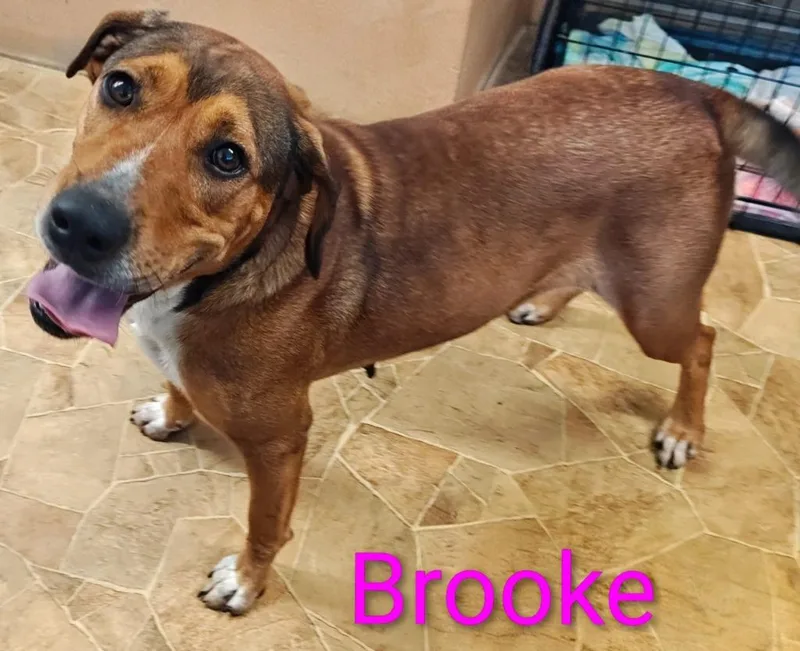 Brooke thumbnail 2